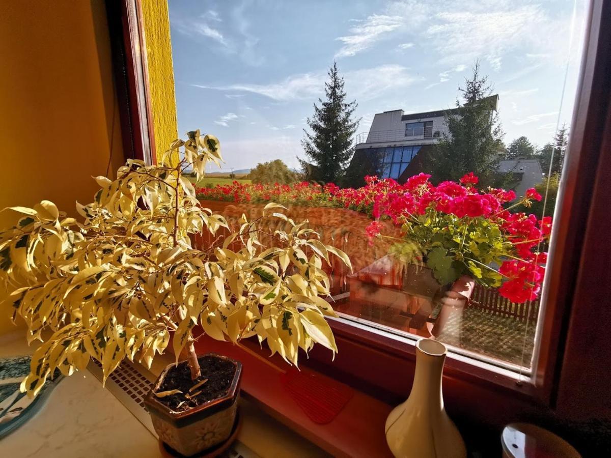 Apartman Adrianka Turčianske Teplice المظهر الخارجي الصورة